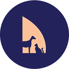 Modern Vet Logo